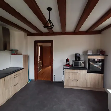 Le Mnuisrey - Grand Apartment Lièpvre